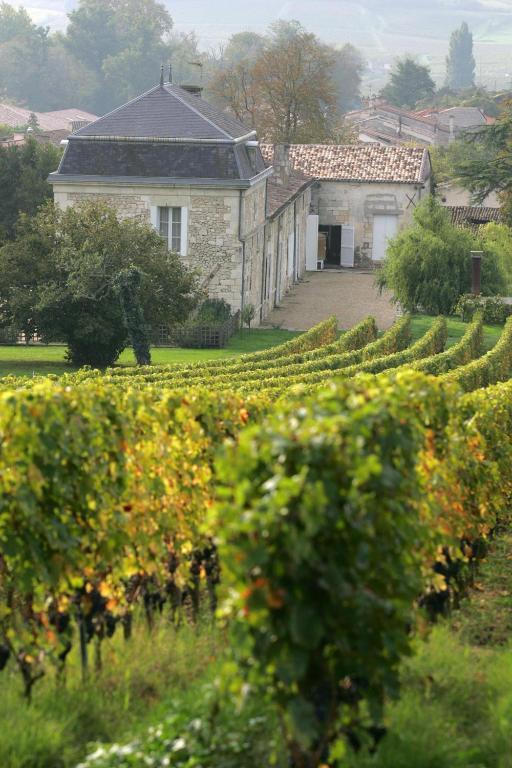Chateau Richelieu Fronsac  Exterior foto